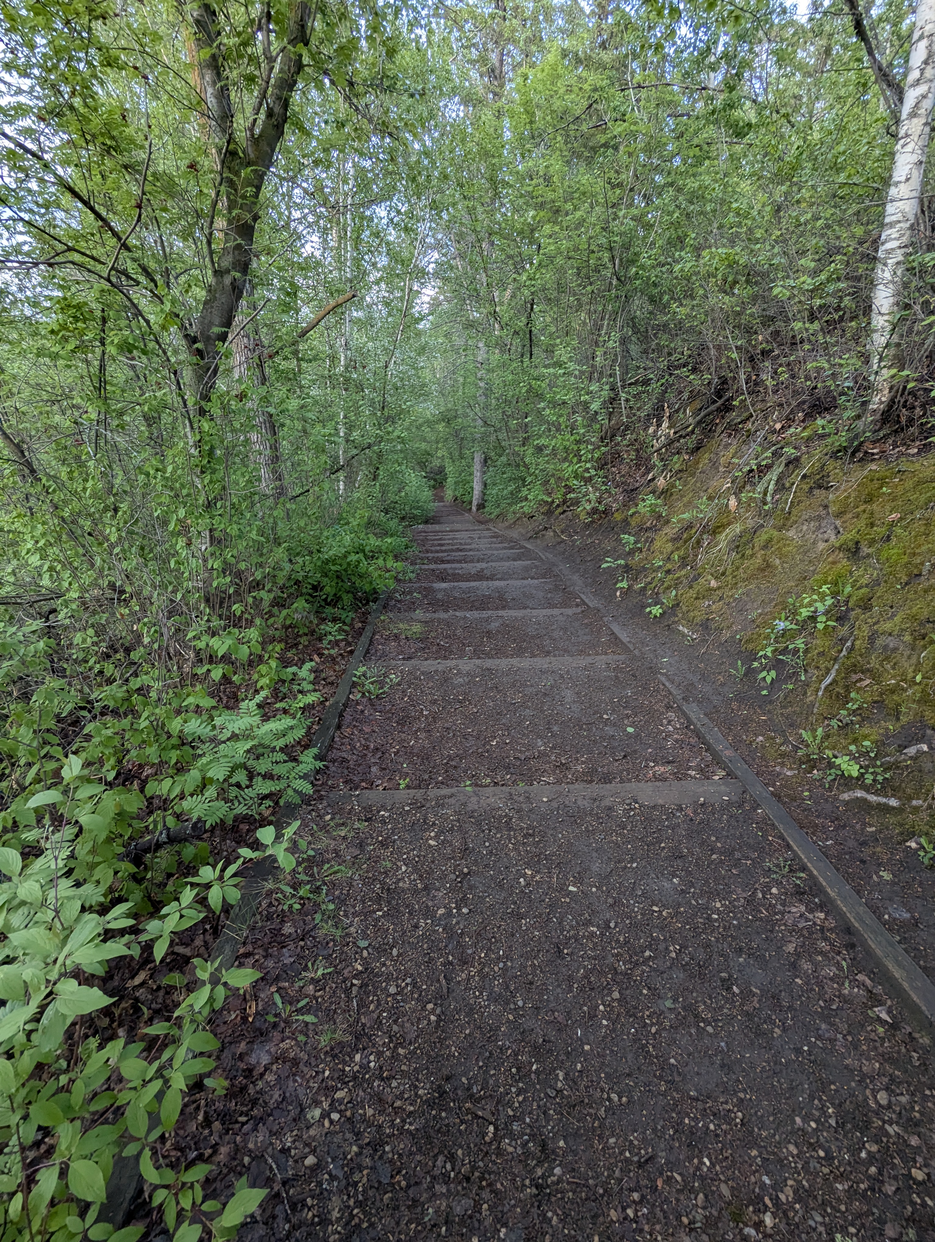 Birthday Trip to Canada, Edmonton